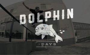 Dolphin Days