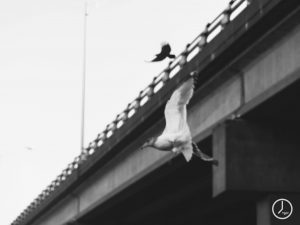 The Blur, You Were-2